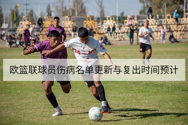 欧篮联球员伤病名单更新与复出时间预计