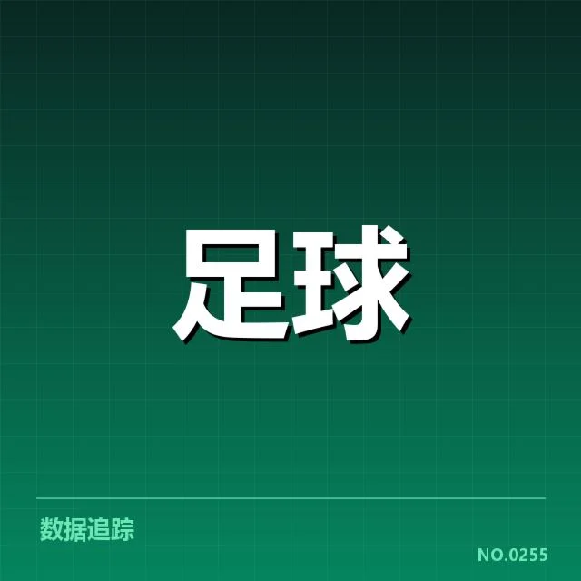 目前已实施的青训项目与成果数据